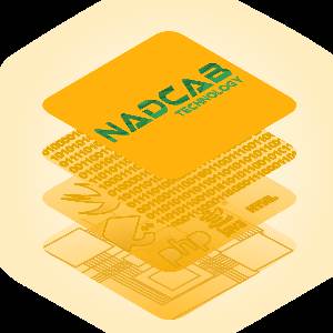 ICO Software Development